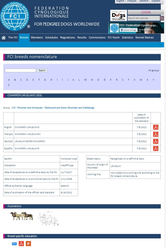Cimarron Des Cévennes - Reconnaissance de la race par FCI